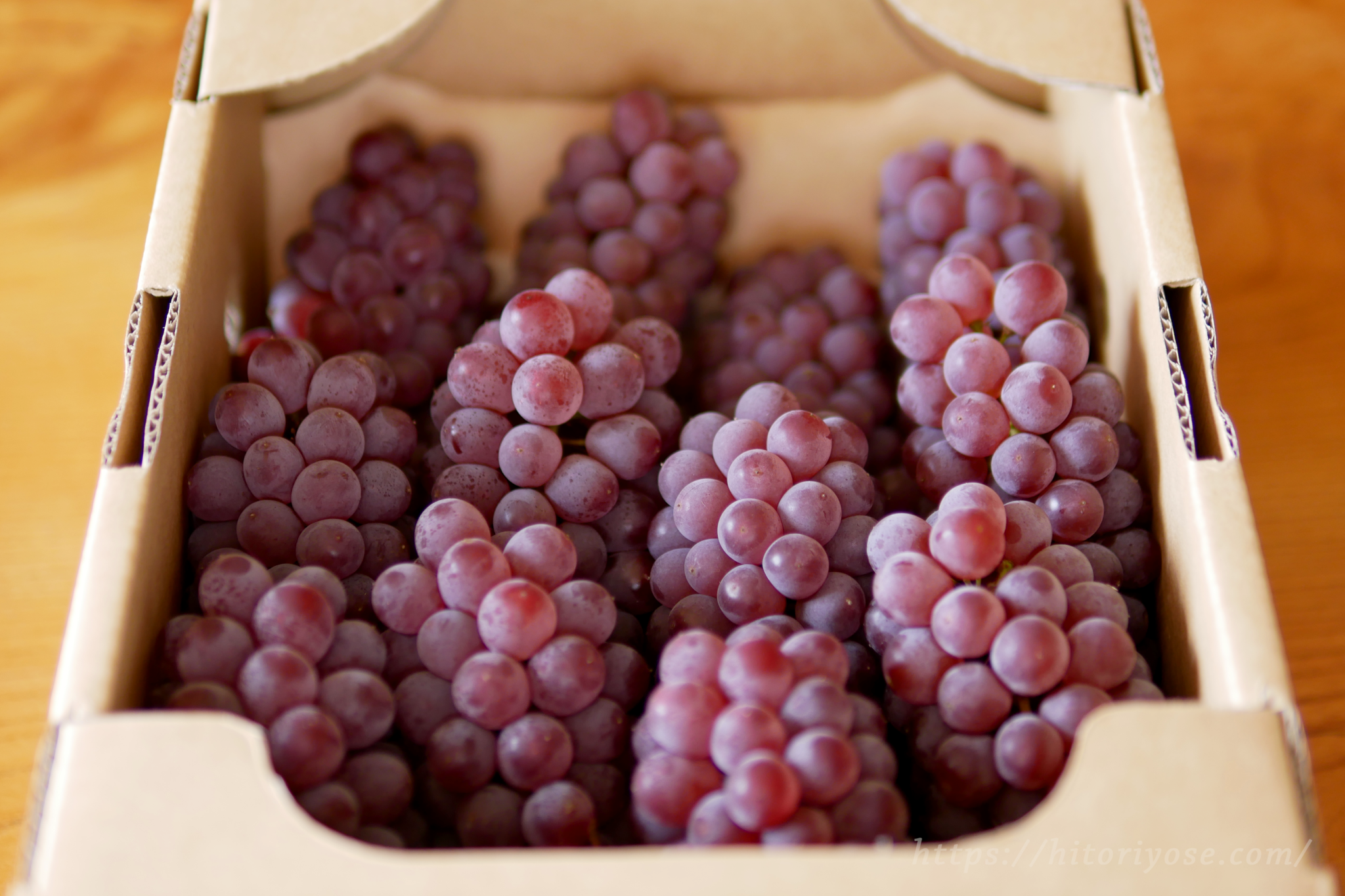 jayamagata_grape_made02-2048x1365.png